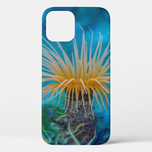 Oranje Zee Anemone Aquatic Ocean Life Case-Mate iPhone Case (Achterkant)