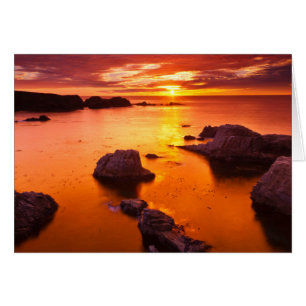 Oranje zeegezicht, zonsondergang, Californië
