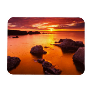 Oranje zeegezicht, zonsondergang, Californië Magneet