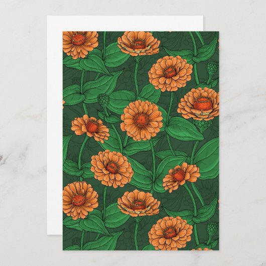 Oranje Zinnia bloemen, groene bladeren op donkergr (Voorkant / Achterkant)