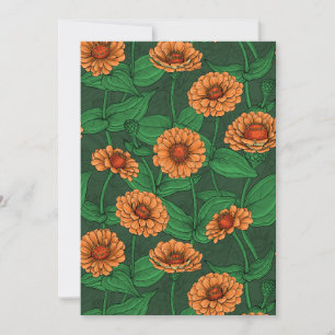 Oranje Zinnia bloemen, groene bladeren op donkergr