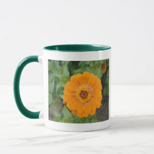 Oranje Zinnia Mok