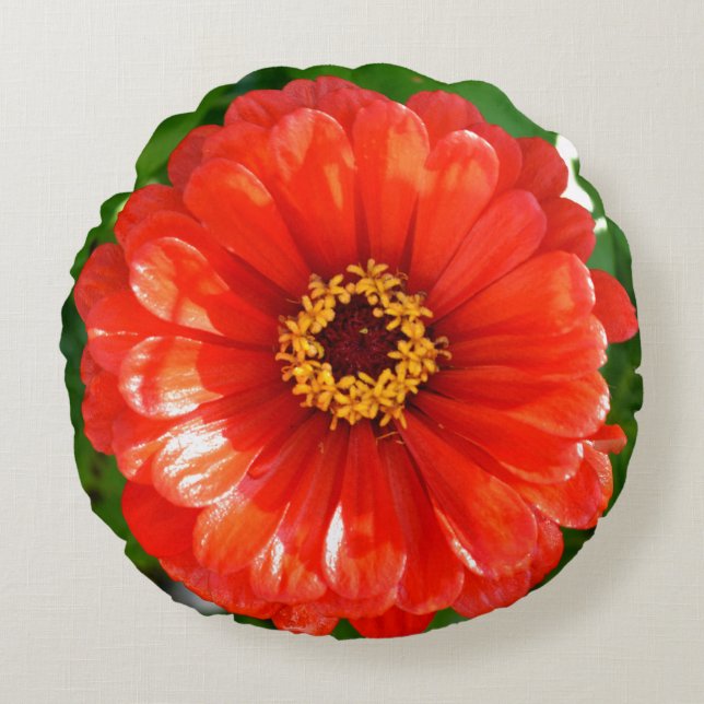 Oranje Zinnia Rond Kussen (Voorkant)