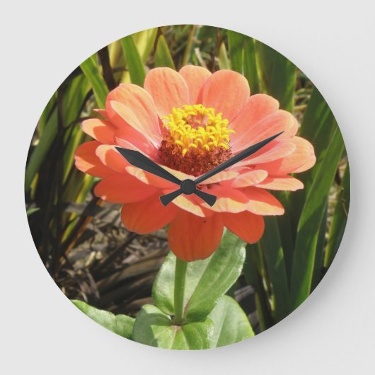 Oranje Zinnia-ventilatorkast Grote Klok (Voorkant)