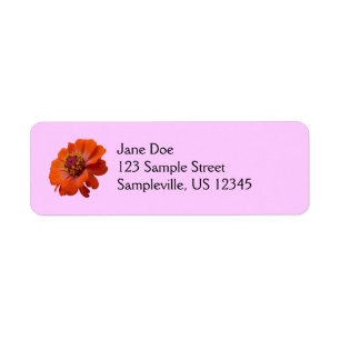 Oranje Zinnia Wilde Natuur Floral Etiket