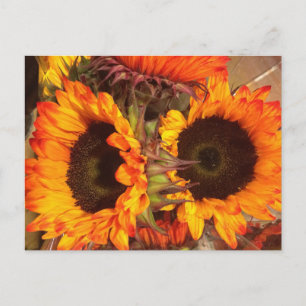 Oranje zonnebloemen briefkaart