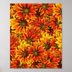 Oranje zonnebloemen poster