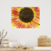 Oranje zonnebloempitten poster (Keuken)