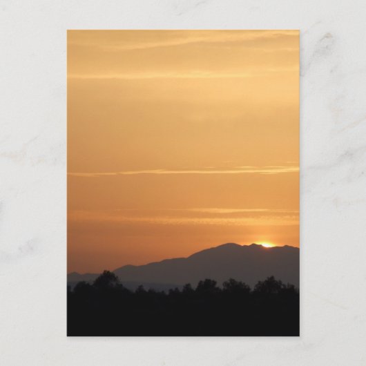 Oranje ZonneBriefkaart Briefkaart (Voorkant)