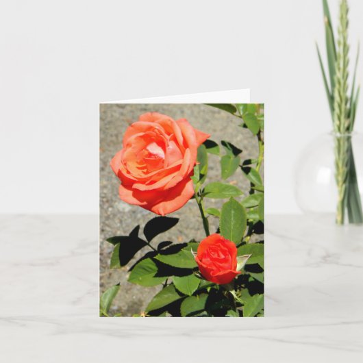 Oranje zonneschijn.... kaart (Voorkant)