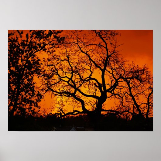 Oranje zonsondergang poster (Voorkant)