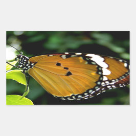 Oranje, zwarte en witte vlinder op leder rechthoekige sticker