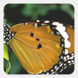 Oranje, zwarte en witte vlinder op leder vierkante sticker