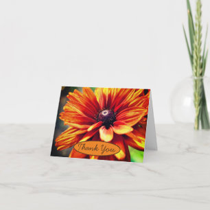 Oranje zwarte-oogige Susan Flower - Bedankt voor j