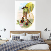 Oranje zwarte zaag Bill Hummingbird Canvas Afdruk (Insitu (Slaapkamer))