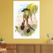 Oranje zwarte zaag Bill Hummingbird Canvas Afdruk (Insitu (Woonkamer))