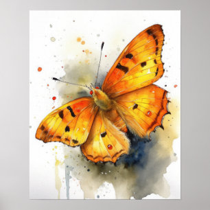 Oranje Zwavel Vlinder Art Print Poster