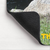 Oranjestad, Aruba Muismat (Hoek)