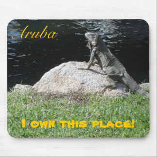 Oranjestad, Aruba Muismat