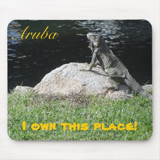 Oranjestad, Aruba Muismat (Voorkant)