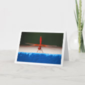 Oranjevleugel Dropwing Libel Kaart (Voorkant)