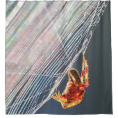 Orb Spider on Web  Douchegordijn (Voorkant)
