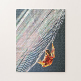 Orb Spider on Web  Legpuzzel