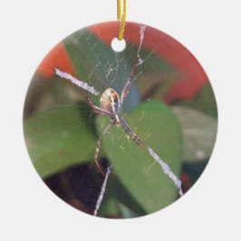 Orb Spider Ornament