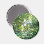 Orb Spider Web - Magnet (Recto/Verso)