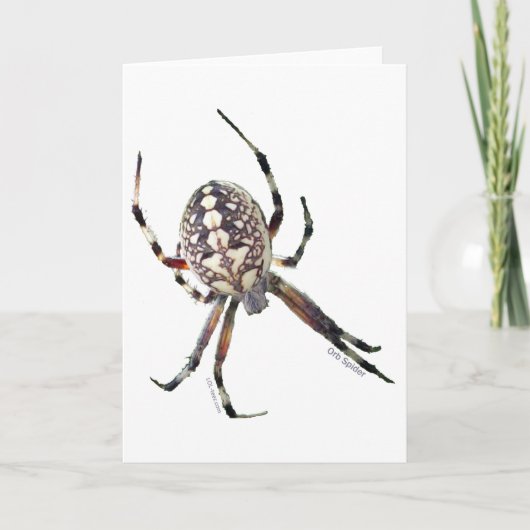 Orb Spin Kaart (Voorkant)