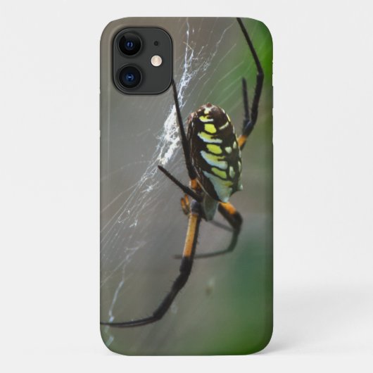 Orb Weaver Spider Close-up telefoonhoesje Case-Mate iPhone Case (Achterkant)