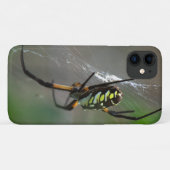 Orb Weaver Spider Close-up telefoonhoesje Case-Mate iPhone Case (Achterkant (horizontaal))