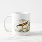 Orbigny - Spotted Salamander - Salamandra maculosa Koffiemok (Links)