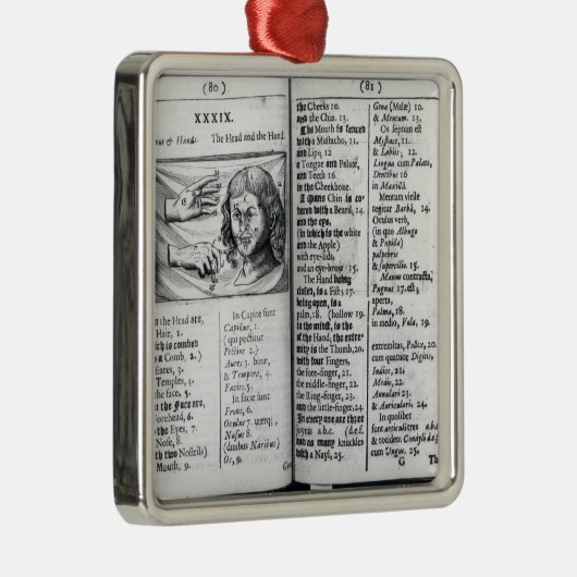 "Orbis Sensualium Pictus" Metalen Ornament (Rechts)