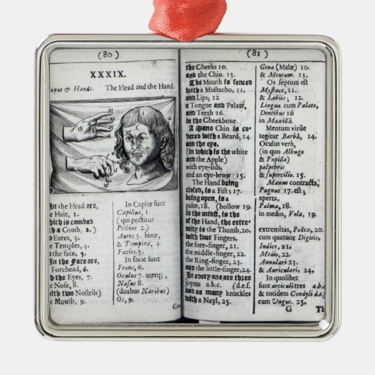 "Orbis Sensualium Pictus" Metalen Ornament (Voorkant)