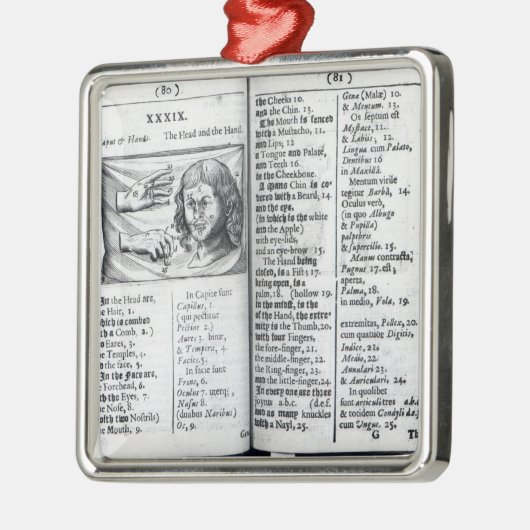 "Orbis Sensualium Pictus" Metalen Ornament (Links)