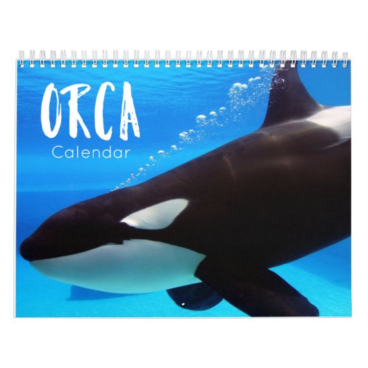 orca 2023 kalender grappige en schattige orka's (Hoes)