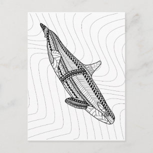 Orca Adult Coloring Briefkaart