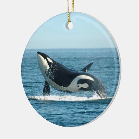 Orca Breach Ornament (Links)