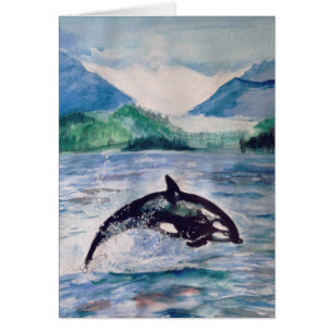 Orca, Eau de Baleine dessin Carte postale