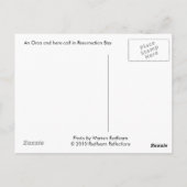 Orca en kalf, Alaska Briefkaart (Achterkant)