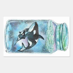 Orca in de pot rechthoekige sticker