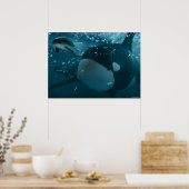 Orca jaagt bruinvissen poster (Keuken)