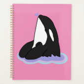 Orca Killer Whale (Devant)