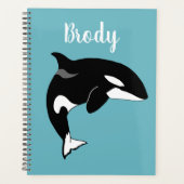 Orca Killer Whale (Devant)