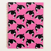 Orca Killer Whale (Devant)