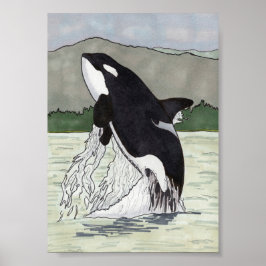 Orca/Killer Whale 5x7 Poster