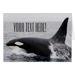 Orca Killer Whale Barriing Surface Custom Text