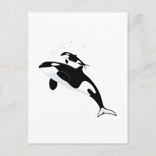 Orca Killer Whale Briefkaart