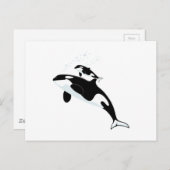Orca Killer Whale Briefkaart (Voorkant / Achterkant)